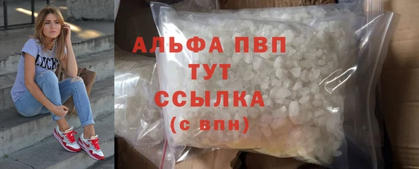 СК Аркадак