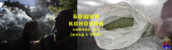 СК Аркадак