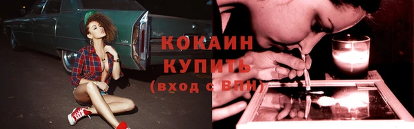 прущие крисы Арсеньев