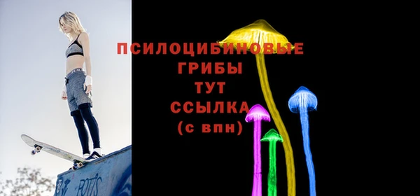 СК Аркадак