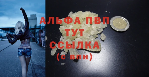 СК Аркадак