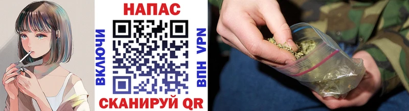 Бошки марихуана VHQ  купить закладку  Бабаево 